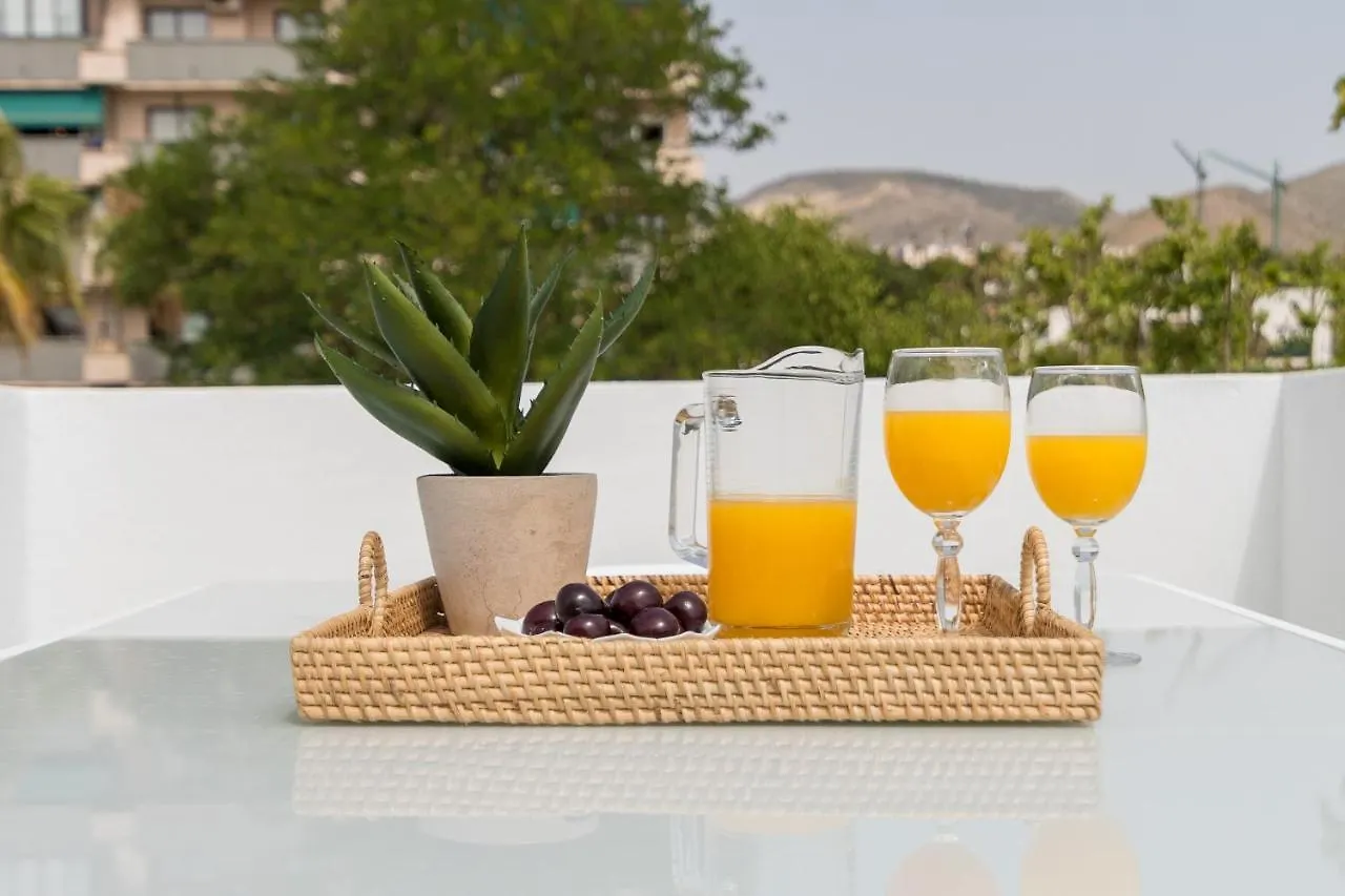 Iloftmalaga Atico Carihuela Apartment Torremolinos Spain